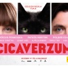 Cicaverzum - Új magyar film a mozikban! VIDEÓ ITT!